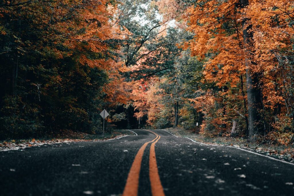 Auto schaukelt bei Bodenwellen