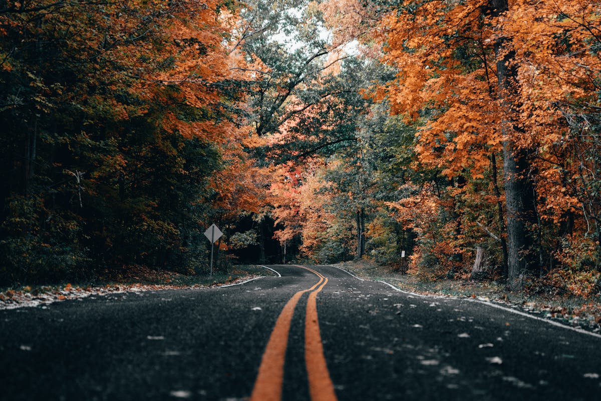 Auto schaukelt bei Bodenwellen
